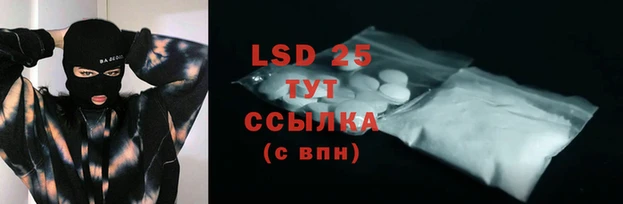 прущие грибы Ростов