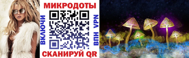 Галлюциногенные грибы Psilocybe  KRAKEN ССЫЛКА  Киселёвск 